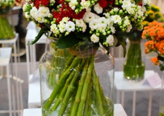 Soraya White and a new variety yet to be named. Available in the cutting range this Christmas.